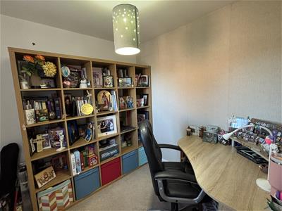 Picture 19